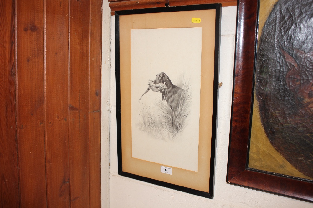 A Hellings pencil study of a hunting dog