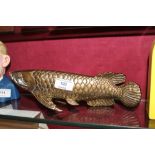 A bronzed carp (41)