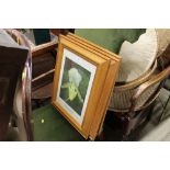 A set of three pine framed botanical oil paintings