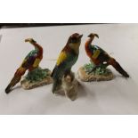 A pair of Dresden porcelain exotic birds; together