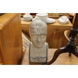 A Phrenology head (76)