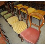 A pair of mahogany balloon back dining chairs and 3 walnut balloon back dining chairs