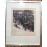 Limited edition print 'Snow Trees 76' 12/20, image size 30cm x 29cm.