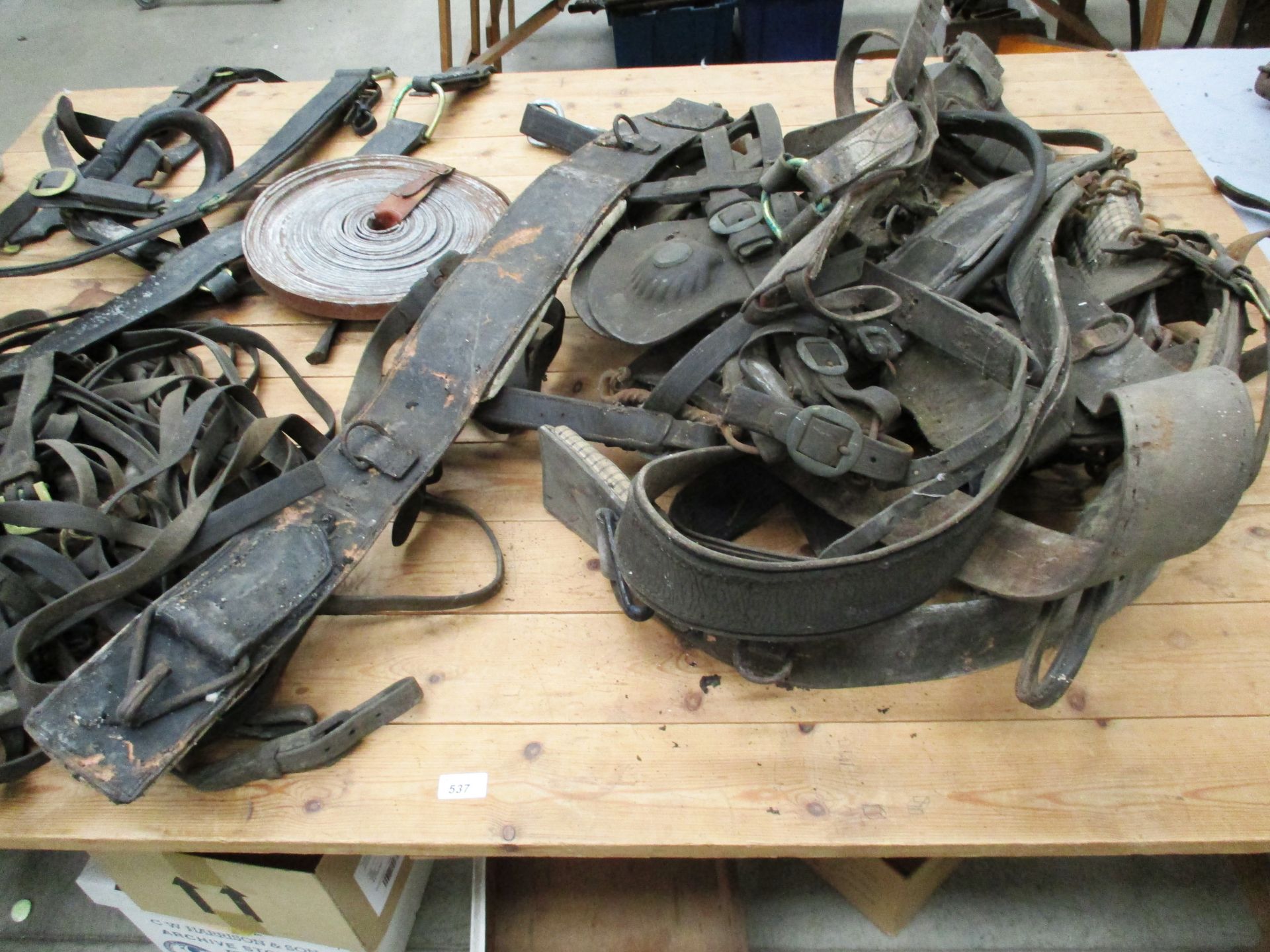 Contents to table top - harness, blinkers etc.