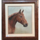 Roger Inman, study of a horse's head, pastel on board, signed and dated 91.