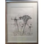 Sketch of wild mushrooms - 51cm x 38cm.