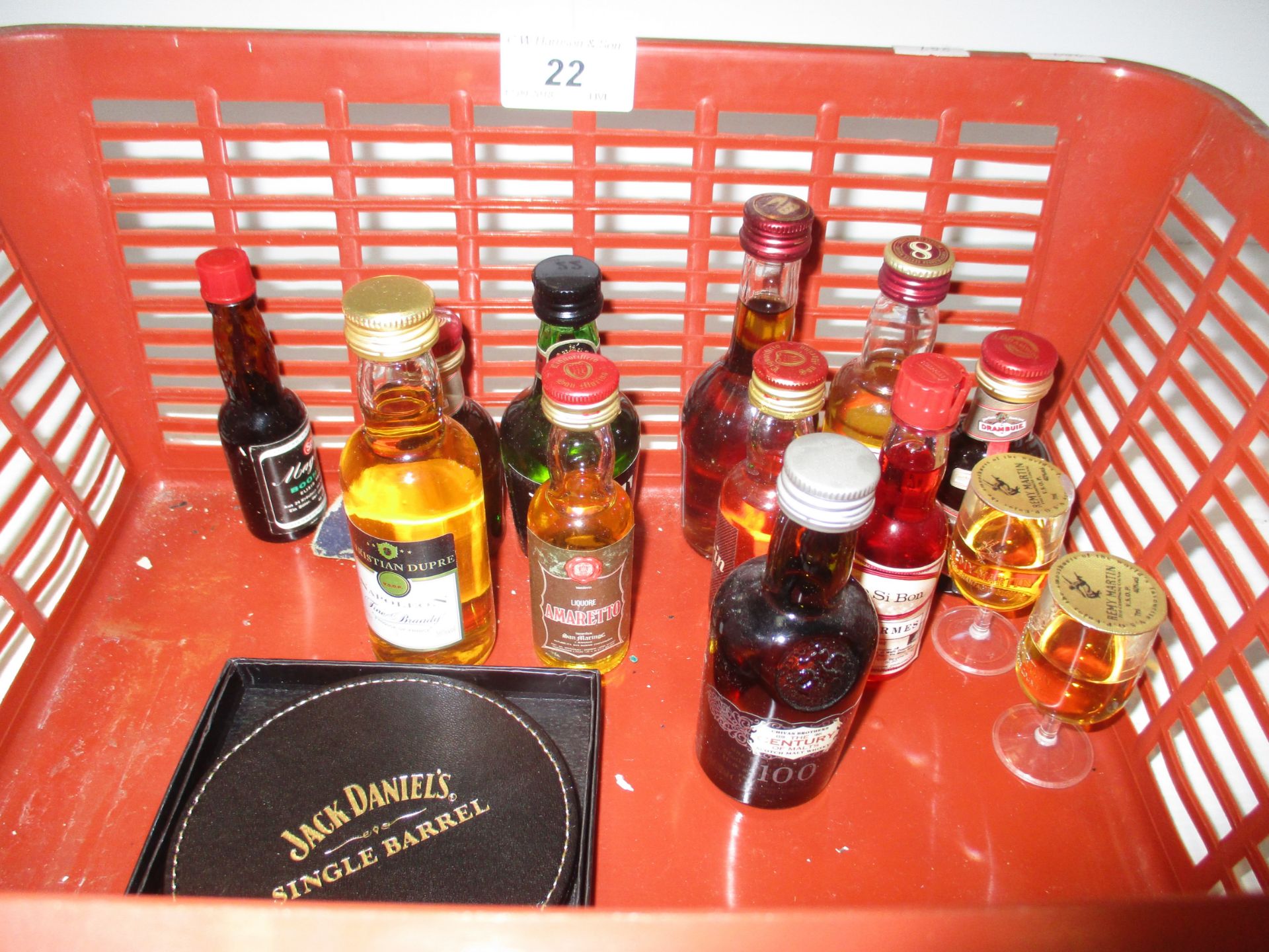 13 various bottles - miniatures - whisky,