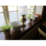 Contents to window ledge - brass oil lamp with glass shade,