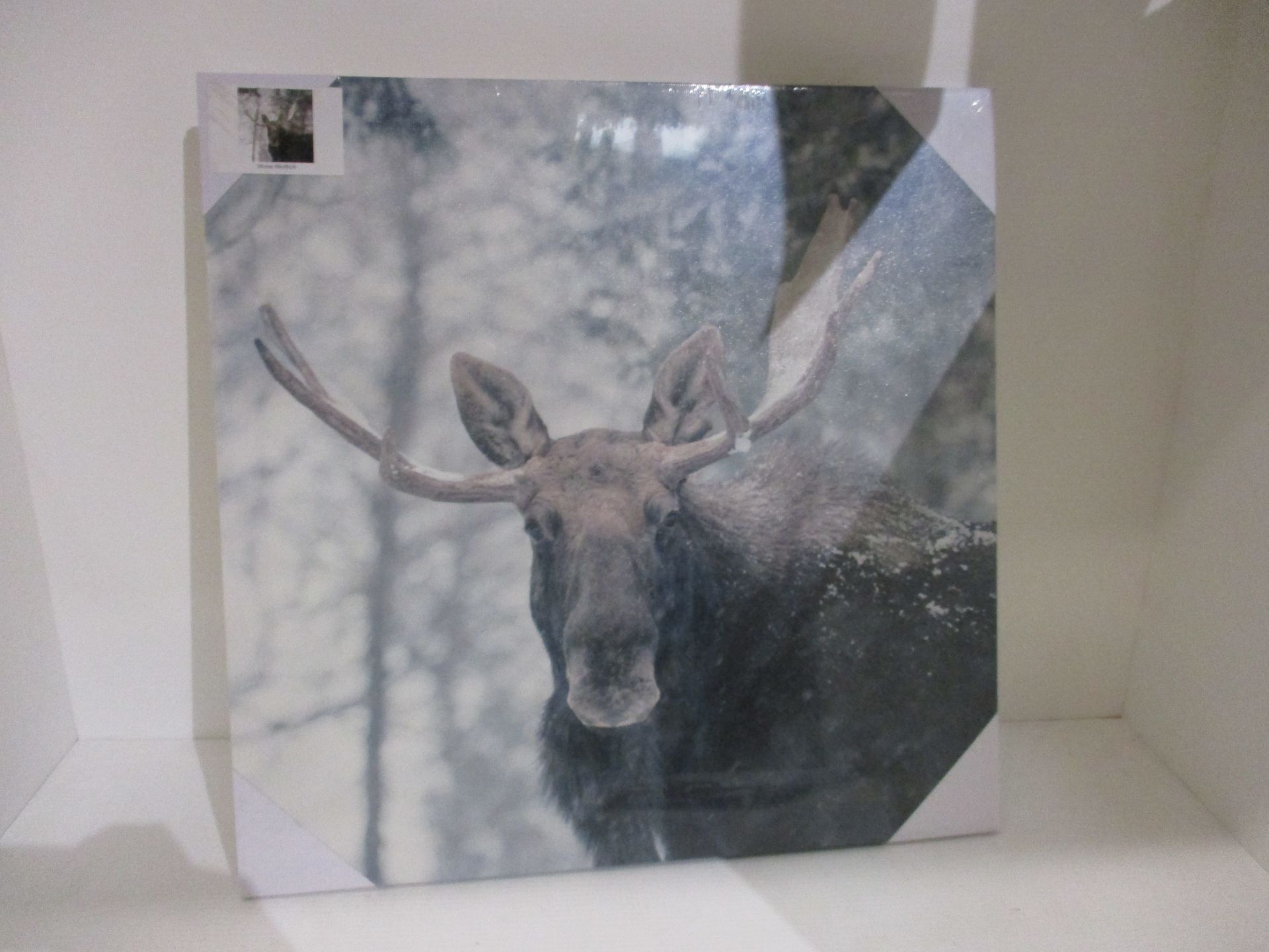 2 x canvas prints of a moose 48 x 48cm