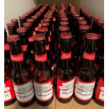 74 x 300ml bottles of Budweiser