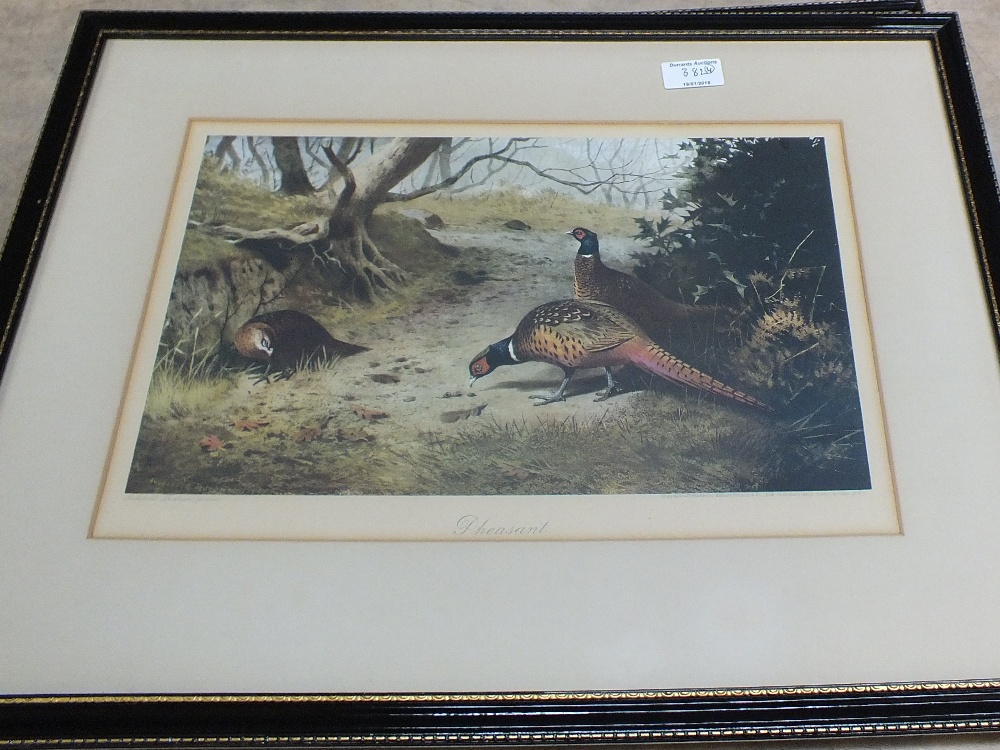 Four framed Archibald Thorburn coloured prints of game birds - Image 2 of 4