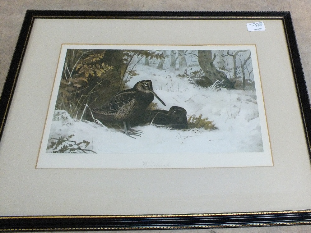 Four framed Archibald Thorburn coloured prints of game birds - Image 4 of 4