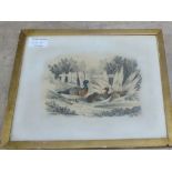 Three gilt framed pencil and watercolours titled 'Cock and Hens', 'Pheasants' and 'Ducks',