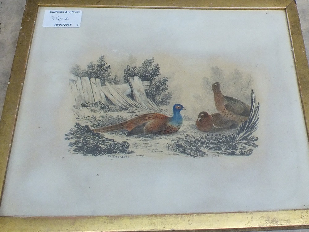 Three gilt framed pencil and watercolours titled 'Cock and Hens', 'Pheasants' and 'Ducks', - Image 5 of 6