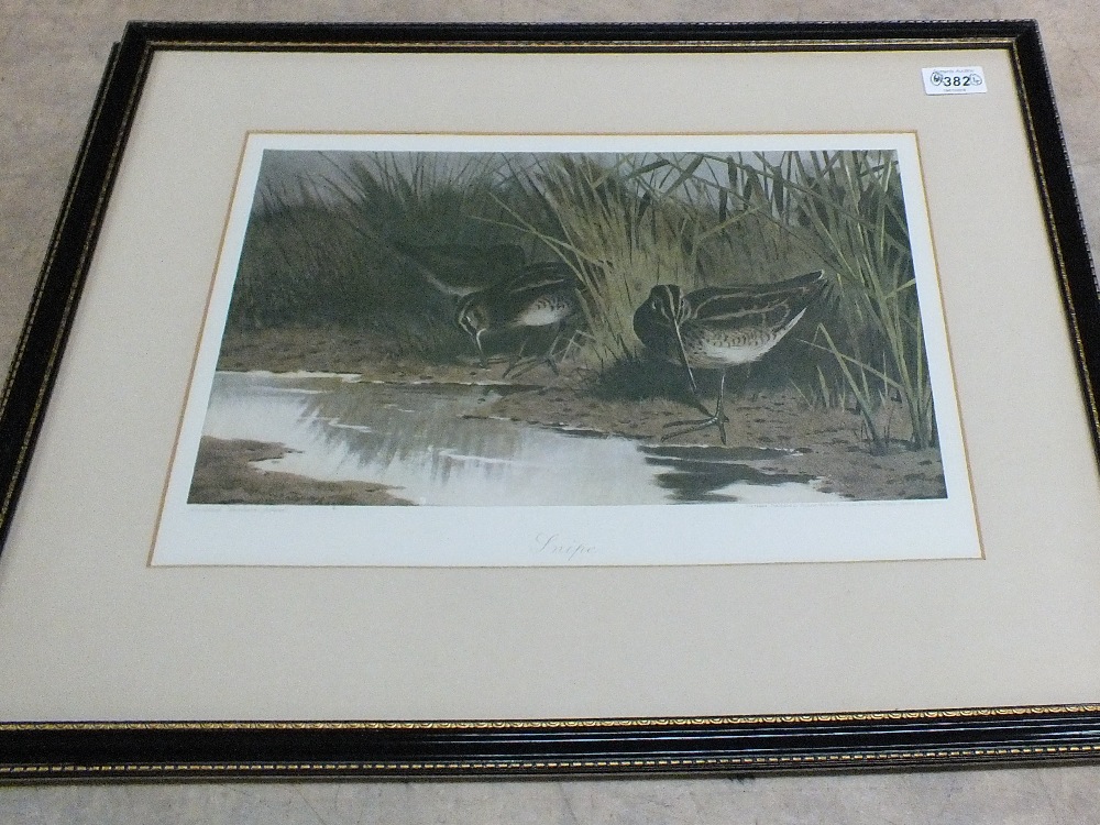 Four framed Archibald Thorburn coloured prints of game birds - Image 3 of 4