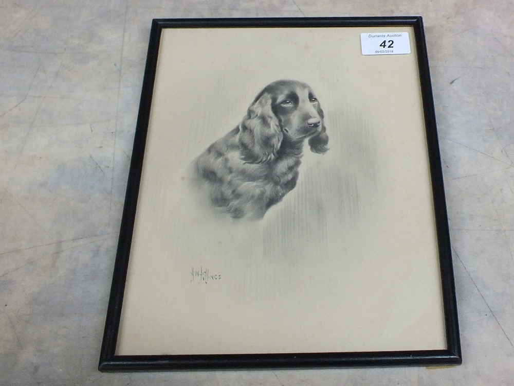 A Hellings drawings of a dog,