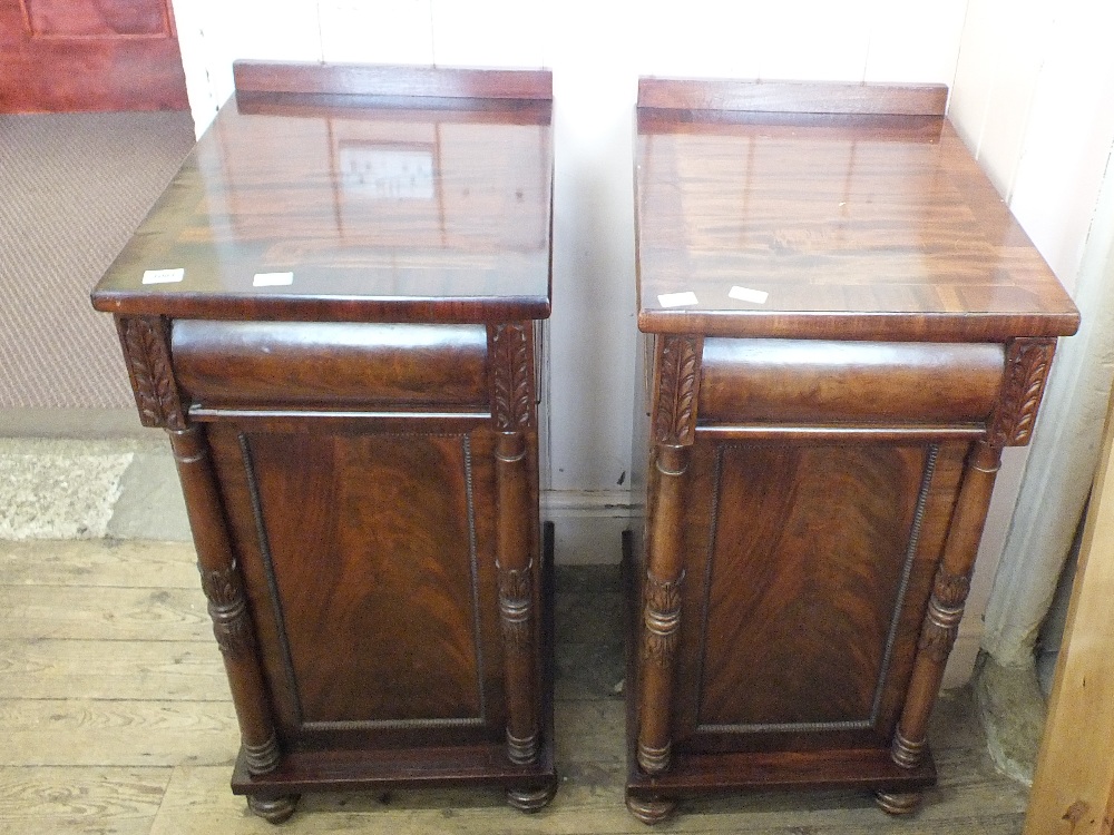 A pair of 19th Century mahogany pedestal cupboards