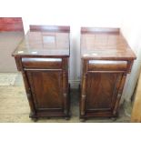 A pair of 19th Century mahogany pedestal cupboards