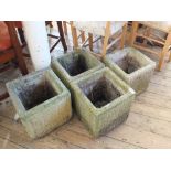 Four square concrete planters plus a plant in a pot