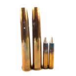 Two 1950's brass shell cases with two 30mm inert cannon rounds