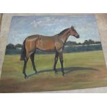 Five unframed oils of equestrian studies