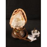 A shell cameo light with volcano and landscape carving (this item is sold as a collectors item only