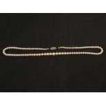 A single row of cultured pearls necklace with a small white gold clasp set with tiny diamond
