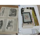 A folder containing a large quantity of unframed prints