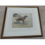 Henry Wilkinson engraving titled 'Red Setter', limited edition No.