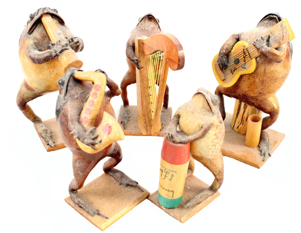 A taxidermy band of five toads playing various instruments