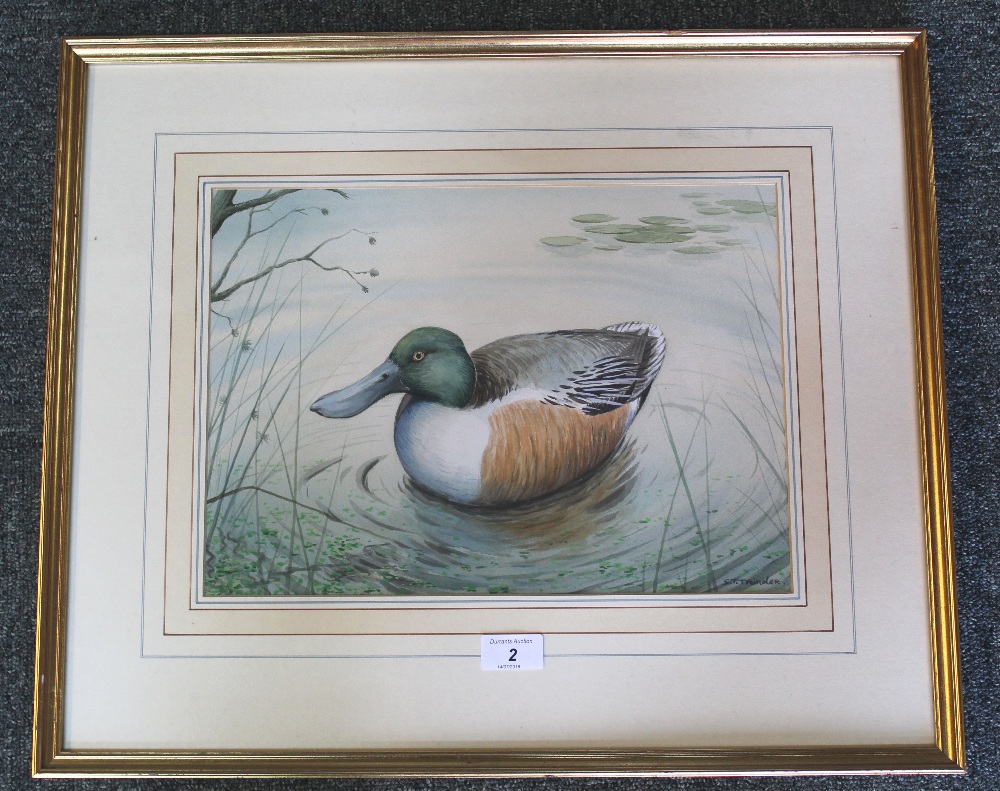 A Simon Trinder watercolour 'Shoveler', signed lower right, framed and glazed,