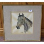 Maggie Scott, watercolour of a horses head,