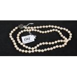 An opera length pearl necklace with unusual large 14ct white gold clasp set with multiple sapphires