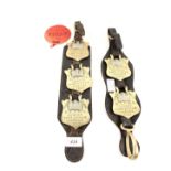 Two Martingales with RSPCA Merit London cart horse brasses, 1922, 1923, 1924,