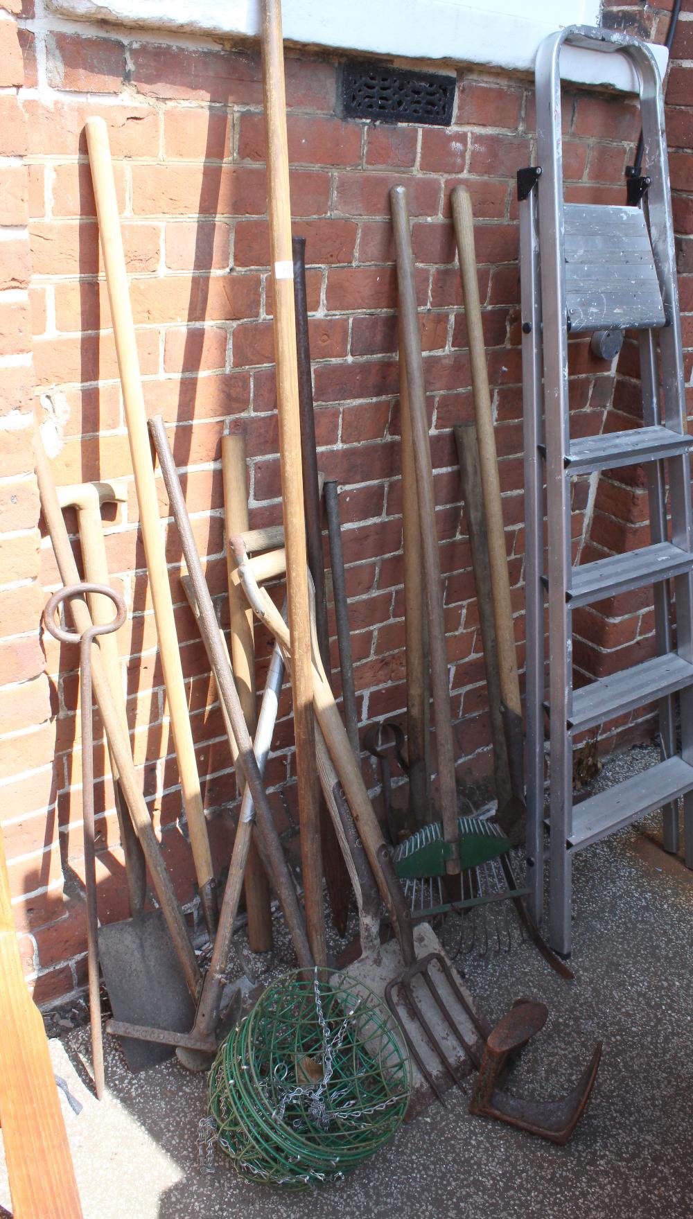 A selection of garden tools