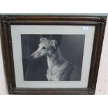 An engraving of a greyhound,