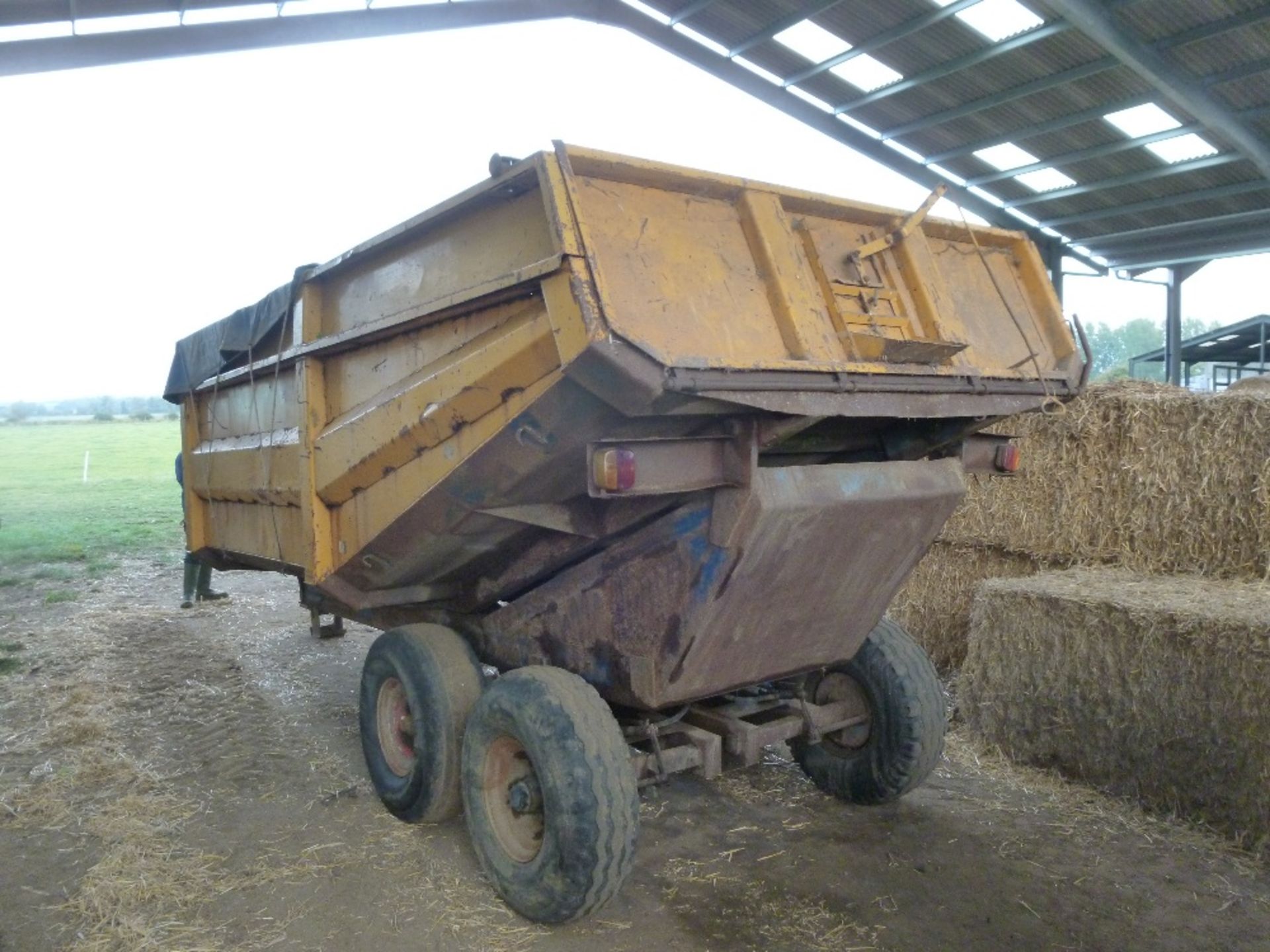 Richard Western dump trailer, 10T approx, tandem axle, hydraulic brakes, rear door with grain chute, - Image 4 of 8