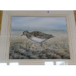 Simon Trinder watercolour of a golden plover plus a river scene print