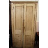 A 19th Century two door pine cupboard with shelved interior