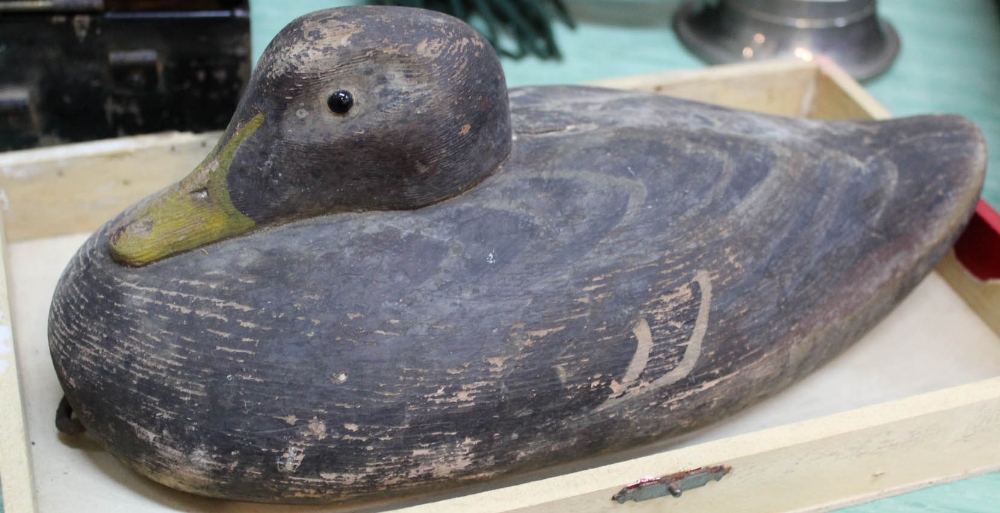 A wooden decoy duck,