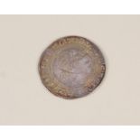 An Edward VI rose facing bust shilling,