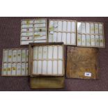 A case of medical microscope slides