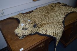 Victorian Leopard Skin Rug with Head