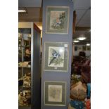 Set of Three Watercolours "Birds" by Rachel Reynol