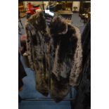 Beaver Fur Knee Length Coat - Thornton Valley of H