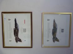 Pair of Framed B.A.E Systems Prints -Hawk T1A and