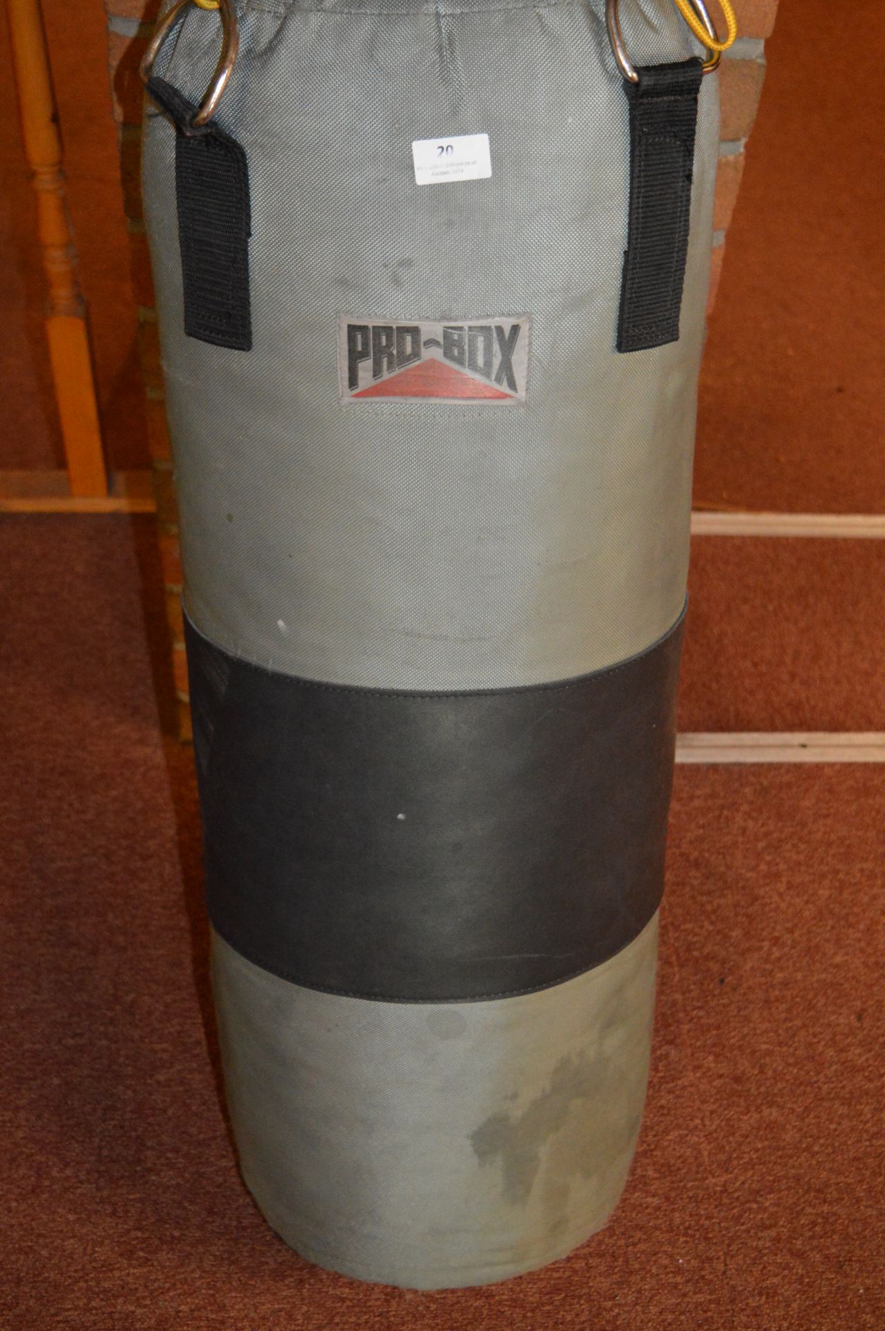 Pro-Box Punch Bag