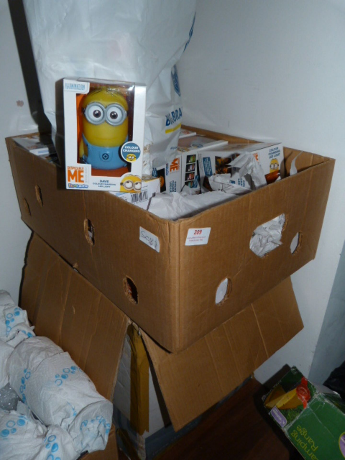 Two Boxes Containing Minions