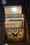 Box Containing Framed Prints Including Butterfly D