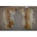 Pair of Fur Gloves and Fur Muff
